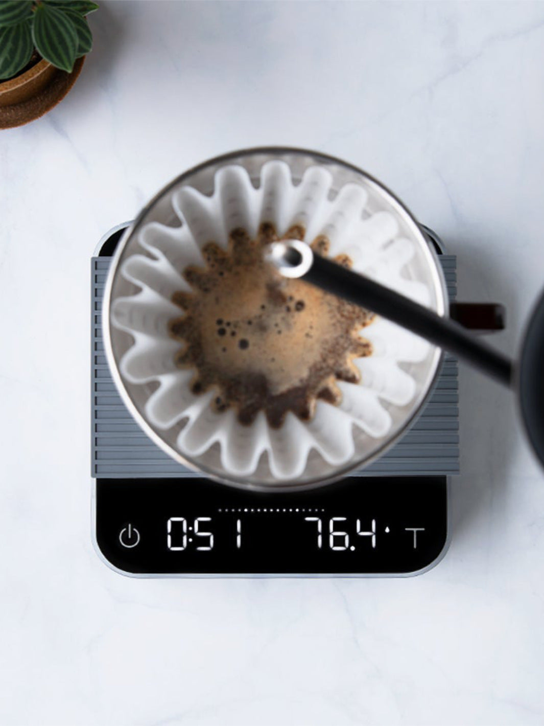 Acaia Pearl - CAFE FOLKA