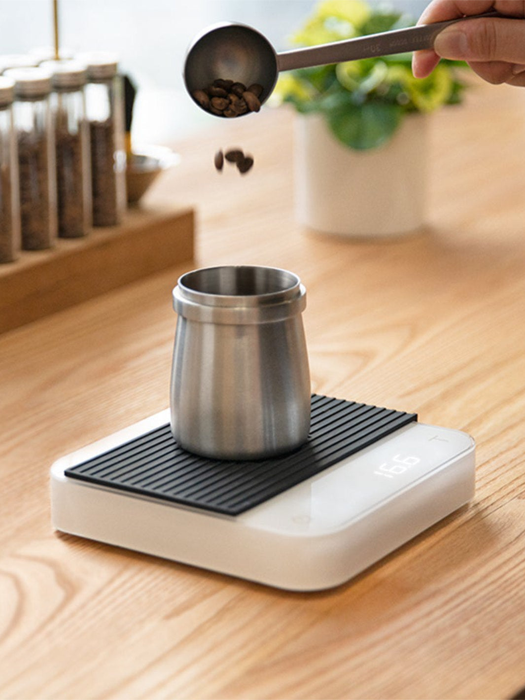 Acaia Pearl - CAFE FOLKA