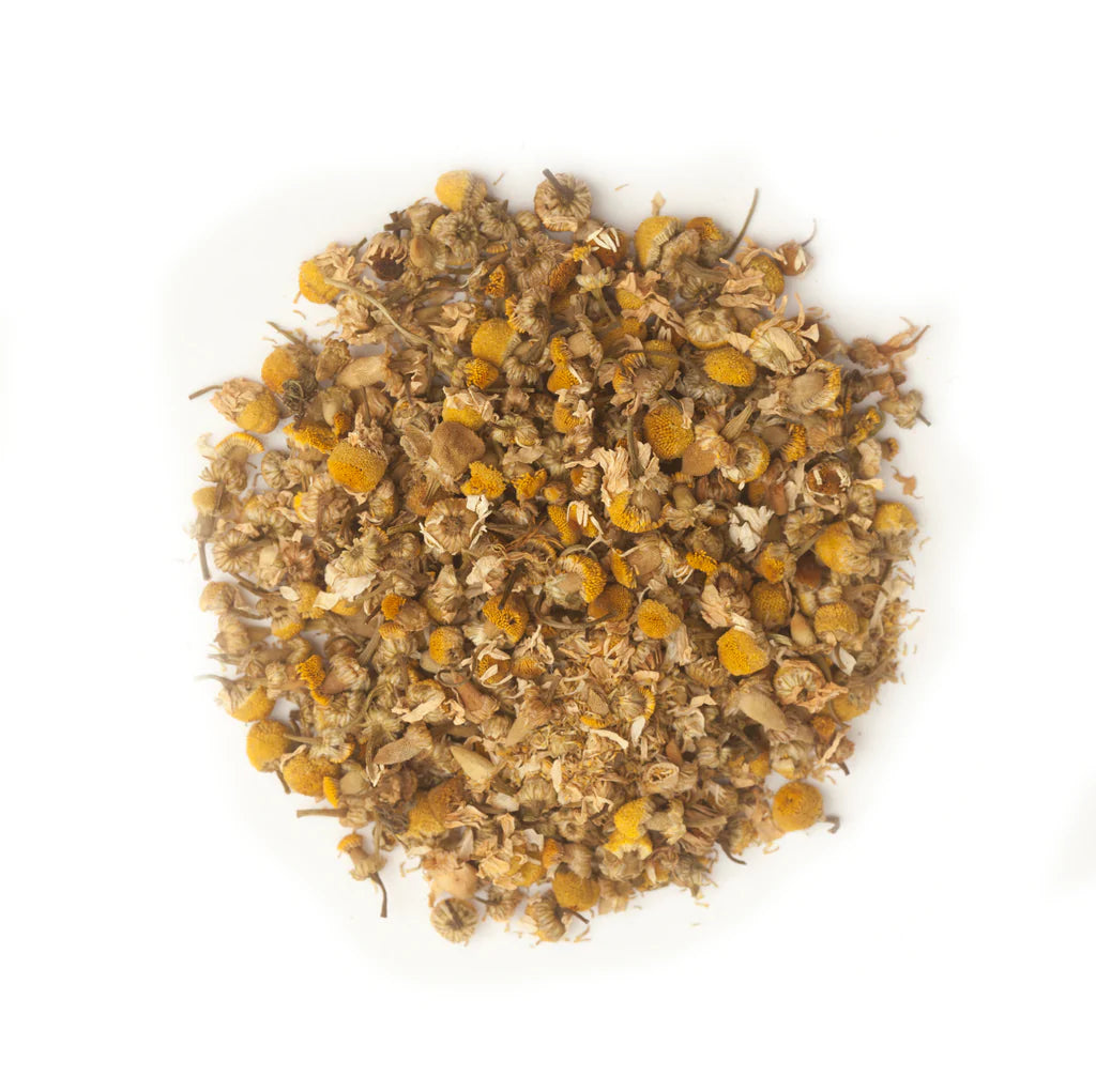 CHAMOMILE FLOWER - CAFE FOLKA