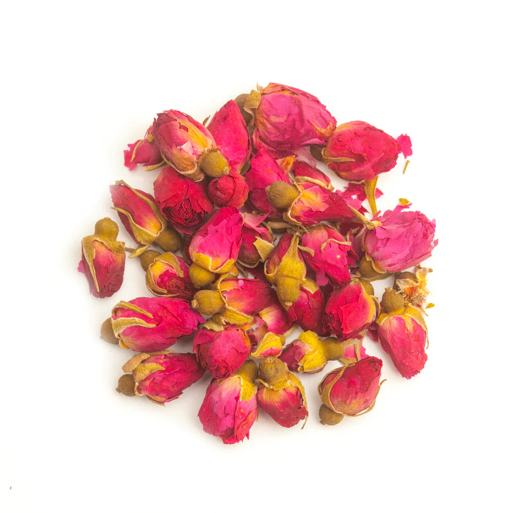 ROSE BUD CHINENSIS - CAFE FOLKA