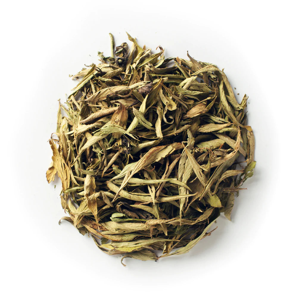 ORGANIC STEVIA - CAFE FOLKA