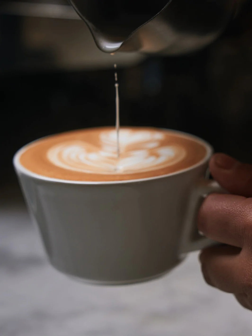 Created Co. Angle Cappuccino Cup (6oz) - CAFE FOLKA