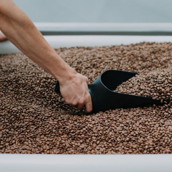 Rhino Bean Scoop - CAFE FOLKA